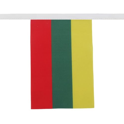 Image of AZ FLAG Lithuania 6 meters BUNTING Flag 20 flags 9'' x 6'' - Lithuanian STRING flags 15 x 21 cm