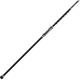 PENN Carnage III Surf Conventional Fishi...
