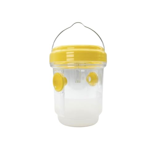 [AiO JAPAN] H gbv W \[[ LED Op (O[) [sAi]