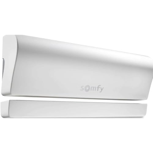 SOMFY 1811482 Tahoma Détecteur d'ouverture IO SOMFY 2 Piles AA avec détecteur de Mouvement 10 m