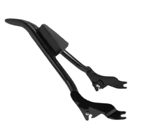 Dossier Passager Touring en Finition Robuste et Exquise pour Moto - 4