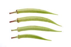 See full amazon price history chart for Golden Hills Farm Okra White F1 Hybrid Vegetable Seeds (LADIES FINGER) 100 Seeds Golden Hills Farm Okra White F1 Hybrid Vegetable Seeds (LADIES FINGER) 100 Seeds (B07N5CHS8V) Amazon Price History, Amazon Price Tracker
