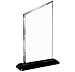 Crown Awards Personalized Acrylic Trophy, 6