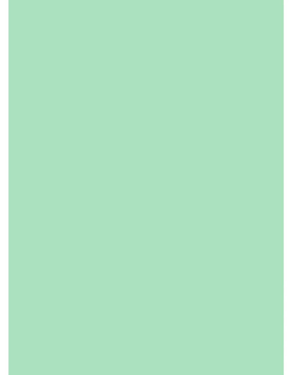 Netuno 10x light green cardstock A3 297 x 420 mm 11.7 x 16.5 in 160gsm Aster Color Jade colourful paper eco-friendly paper coloured cardstock for invitations business cards wedding flyers scrapbooking
