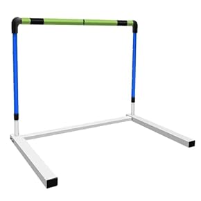 moltenミニハードル 赤 5本セット EVERNEW ラダーハードル moltenミニハードル 赤 5本セット EVERNEW ラダーハードル ミニ