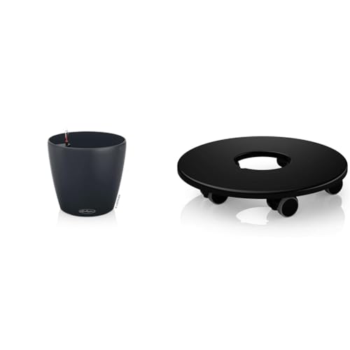 Pot de fleurs extérieur et intérieur Lechuza pour sublimer votre terrasse