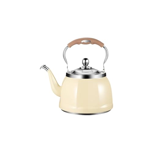 VolleboJPgXg[uΉ  Lv P g ₩  ih eB[|bg NbLOPg  AEghAXeX|̃eB[Pge ϋv I[MΉ ƖpXg[uAEghA ۂƒ  L (N[CG[