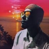 JUNPEI SHIINA EVIL VIBRATIONS - 未来 - Disque 33T