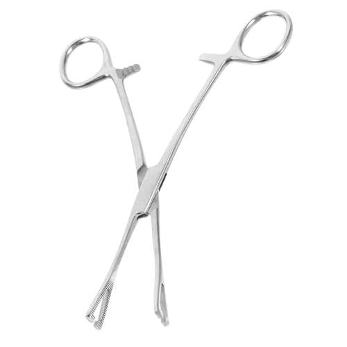 DIKACA ステンレス鋼爬虫類給餌用ハンドル 可能なグリップ 優しいラウンドチップ レオパやヘビ用 水槽飼育に