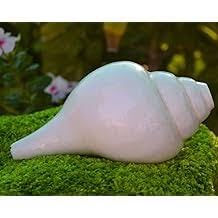 Generic Puja hindou exclusif mondial religieux soufflant conque (Bajanewala uja Shankh) 7,6 cm Temple Havan Pooja