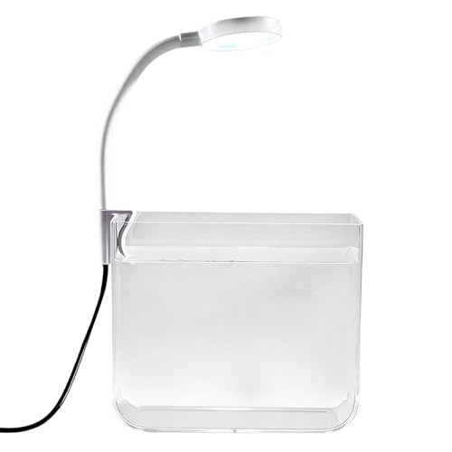 Mini tanque de acuario de cristal resistente con luces LED de clip y base 2