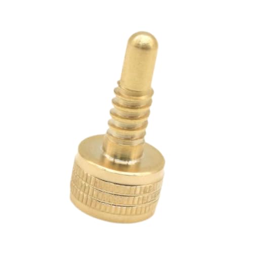 Colaxi Billiard Cue Weight Screw Pool Joint Protector Replacement Professional Easily Install for Weight Adjustments Hardware Brass, 29g 1.6x3.5cm