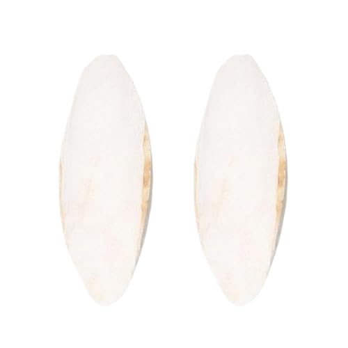 Os de Seiche pour Oiseaux - 2 Pièces Os de Seiche pour Tortues - Pierre à Bec 15-20 cm pour Perruche Reptile Perroquet Canari Calopsitte Aquarium