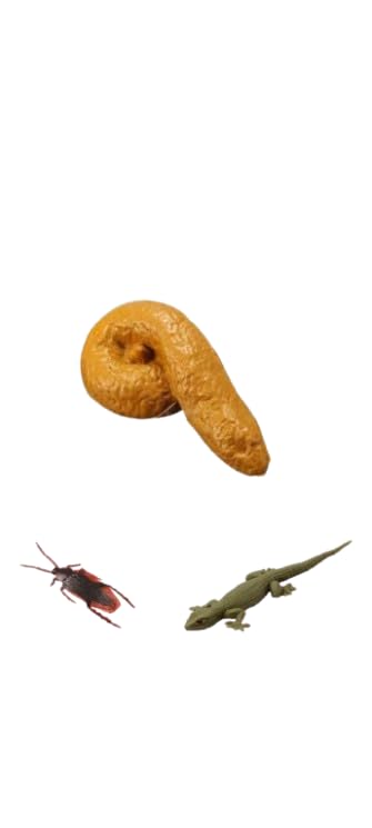 Potty prankTreat for Lizards, Birds, Hedgehogs-picture-28