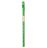 Waltons Light Green Whistle Tube - Fun & Colorful Tin Whistle - Key of D - Irish & International Instrument - Perfect for Beginners