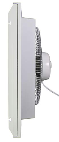 https://m.media-amazon.com/images/I/21QwpFHaRVL._SL500_.jpg