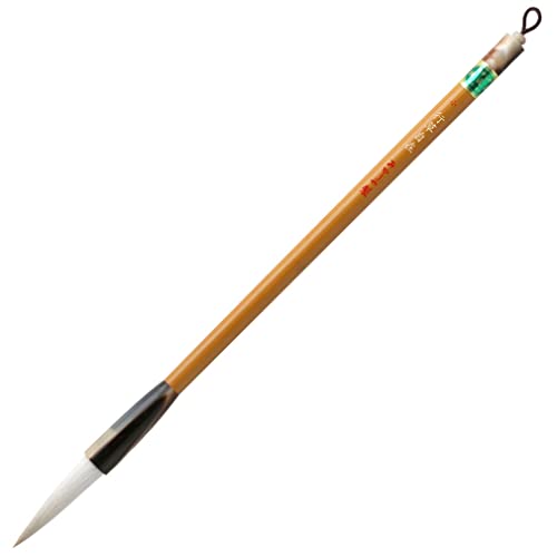  pM M s  PL-602