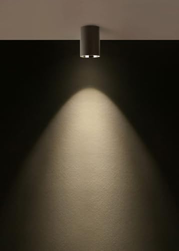Image of blissbells Modern 12W LED Surface Ceiling Light | Black & Gold Cylinder Ceiling Lamp with Warm White Light | Decorative Downlight for Living Room, Bedroom & Office