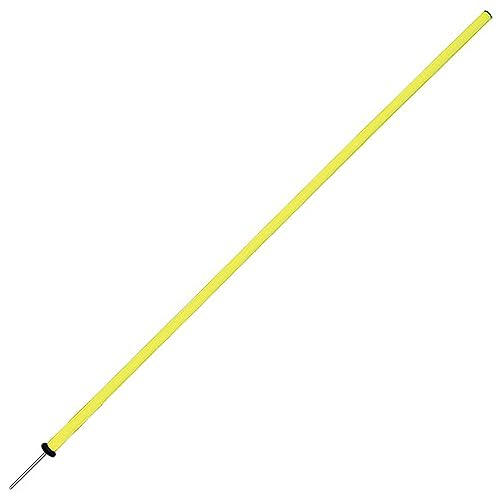 PICA SLALOM 173 CM 2.0