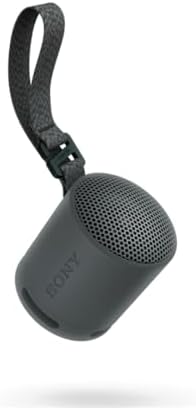 Gift Idea 5: Sony SRS-XB100 - Wireless Bluetooth, Portable Speaker