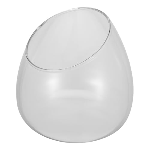 Healeved - Healeved Mikrolandschafts-Terrarium Aus Glas Blumenglas Mit Abschrägungsdesign Mikroökologie-umweltflasche Für Sukkulenten Transparenter Pflanzenvase Für Zuhause Und Schlafzimmer