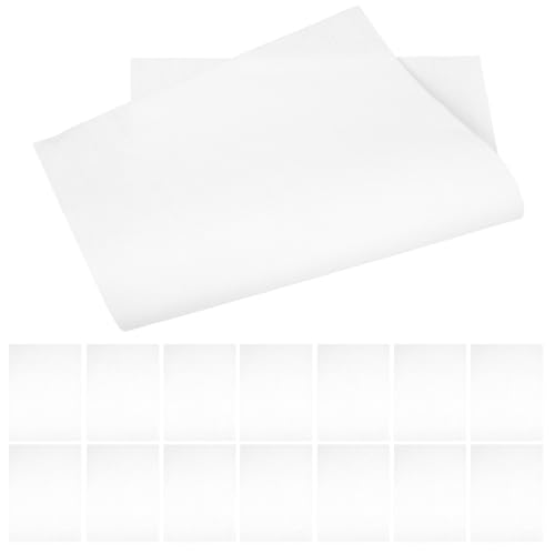 Anneome 50 hojas Papel de Caligrafía para Escritura Sumi y Práctica de Pintura Xuan para Caligrafía y Dibujo Japonés