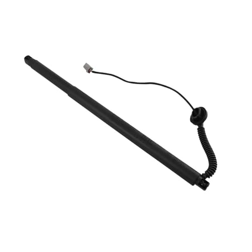 de[Q[gKXT|[gXgbgAV{[E^zΉATo[oAGMC[RΉAGXJ[h2015-2020Ή(Right)