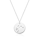 MEVECCO Sliver Necklace Coin Disc Zodiac 12 Constellation Aquarius Star Engraved Horoscope Sign Astrology Pendant Sliver Plated Chain Dainty Personalized Simple Jewelry