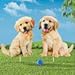 Collections Etc Golden Retriever Puppies Yard Stakes - Set of 2 - Outdoor Decorative Realistic Figurine for Yard or Garden