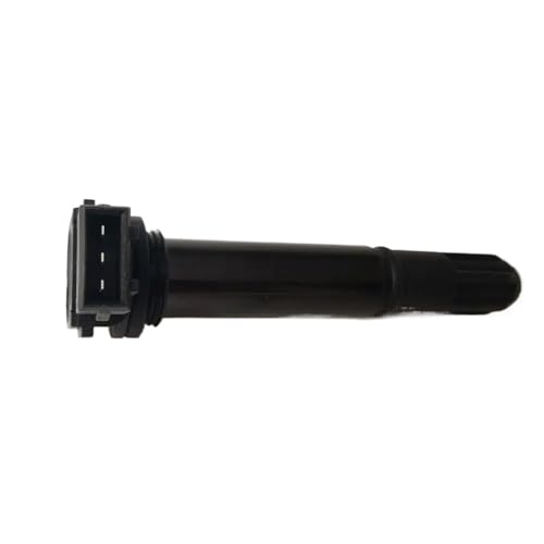 Bobine d'Allumage Haute Performance pour Moteur Benelli 302S