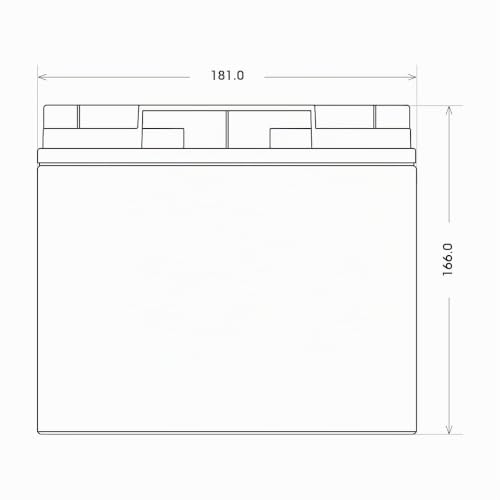 Foto von BIG Professional Garden AGM 12V 20Ah für Rasenmäher