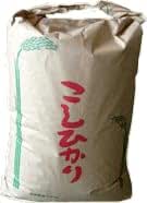 【令和7年産】 会津 只見産 玄米 コシヒカリ 5kg 産地直送 特A 粘り 甘味 こしひかり ギフト プレゼント お米 備蓄