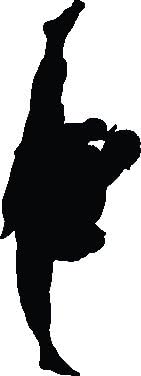 Martial Arts Kicking III Silhouette Wall Decal Cutout