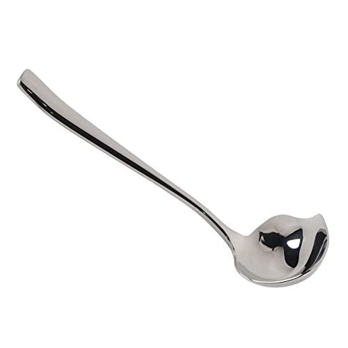 Yuecoom Drizzle Spoon,Stainless Steel Sauce Drizzle Spoon with Spout Sugar Spoon Cooking Utensil Tool,Gravy Spoon Mini Gravy Ladle Drizzle Spoon Sauce Ladle