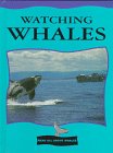 Hardcover Watching Whales Book