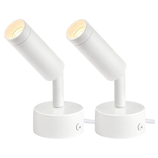 URTOM 2 Pack Spot Lights Indoor, 120V Up Lights Indoor, LED Accent Spotlight, 3W Plant Spotlight, 3000K Floor Spotlight for Plants Pictures Desk, Uplights with 5.9 FT Plug Cord and Foot Switch