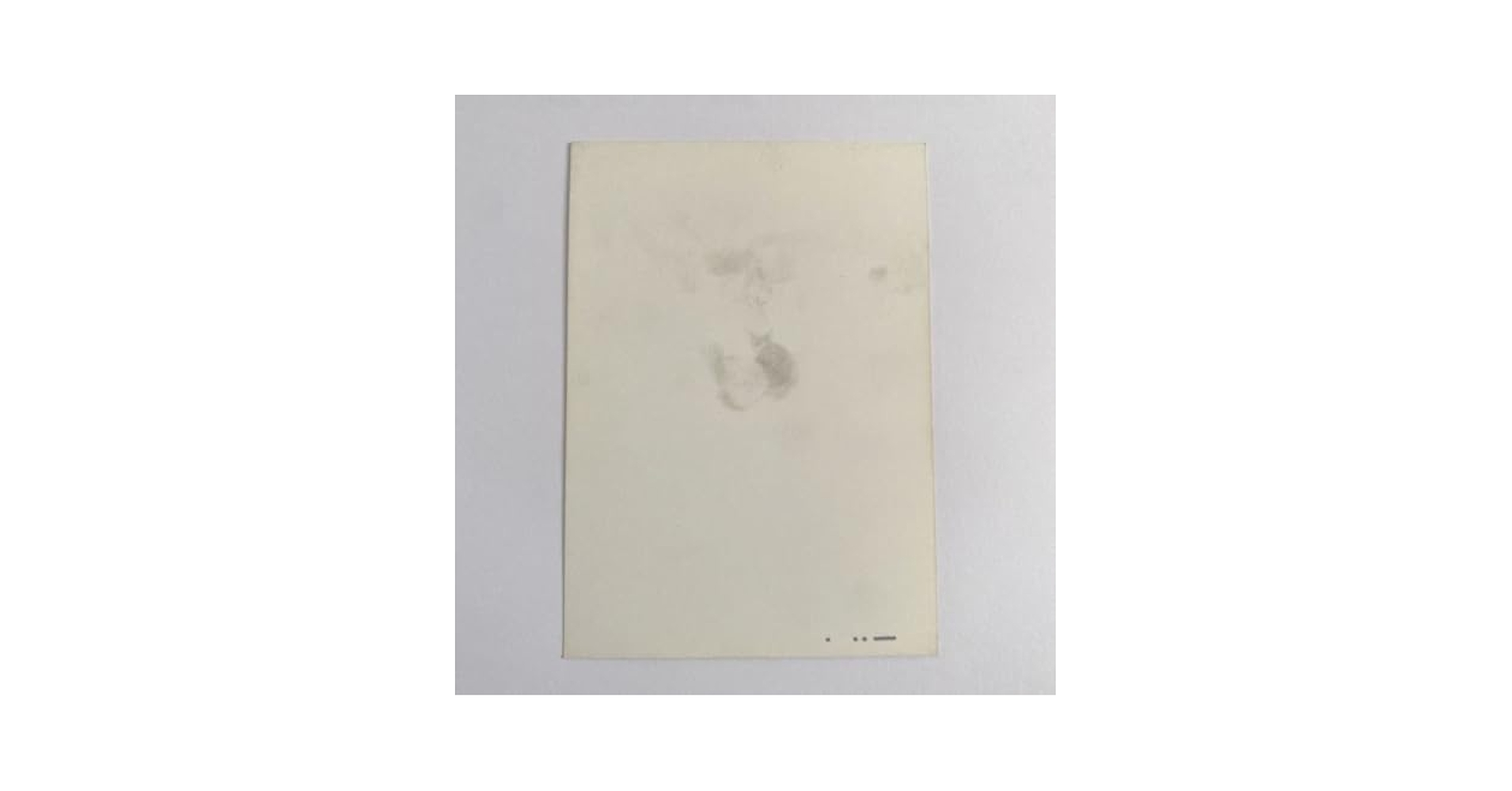 【貴重！】中森明菜 2L判生写真 当時物 5枚セット アイドル 希少 青春 貴重！】中森明菜 2L判生写真 当時物 5枚セット アイドル 希少