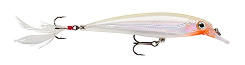 ラパラ X Rap ルアーインプレッション バス釣り虎の巻