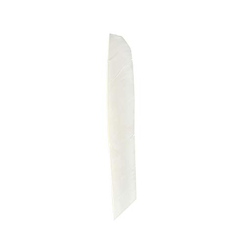 Sharrow 50Pcs Archery Arrow Turkey Feathers Arrow Fletches Fletching Natural Feather Left Wing For Hunting Shooting Accessory (White) #TOP4