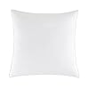 20x20pillowinsertssoftfeatherpillowsetof1indoordecorativesofadownpillowsbedpillowscouchpillow  Urban Country Home Decor 20×20 pillow inserts soft feather pillow set of 1 indoor decorative sofa down pillows bed pillows couch pillow  urban country home decor