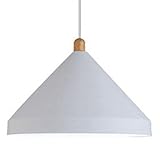 ★ Style industriel moderne: le pendentif adopte un design d'hemblée en métal pour créer une atmosphère chaude pour tout espace, simple, mais accrocheur.