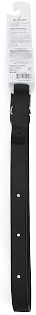 Youly The Extrovert LED Dog Leash, 6 ft.