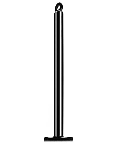 QWORK® Hantelscheiben-Ladestift für Kabel-Fitness-Workout zu Hause und im Fitnessstudio (Ø20 x 320 mm, 100kg Belastbarkeit)