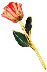 24K Gold Dipped Rose - Peppermint