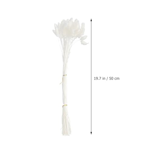 Ramo de Flores Secas Blancas con Pasto Cola de Conejo 50 pcs miniatura 2