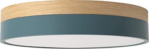 003278 Olika LED CEILING LIGHT オリカ LED シーリングライト Nordic BL LED 照明 おしゃれ 調光調色 リビング ライト 天井照明 天井照明器具 北欧 カフェ インテリア