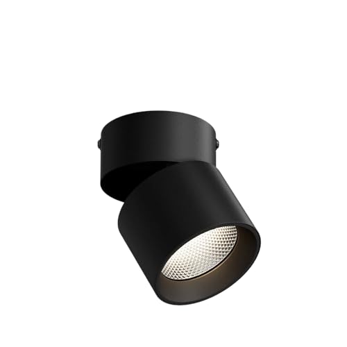 IUokLU Foco LED de Superficie Moderno para Montaje en Superficie Foco de Techo para Interiores Foco de ángulo Ajustable Mural de Entrada para Sala de Estar Foco de,12w-Luz Blanca 5000K