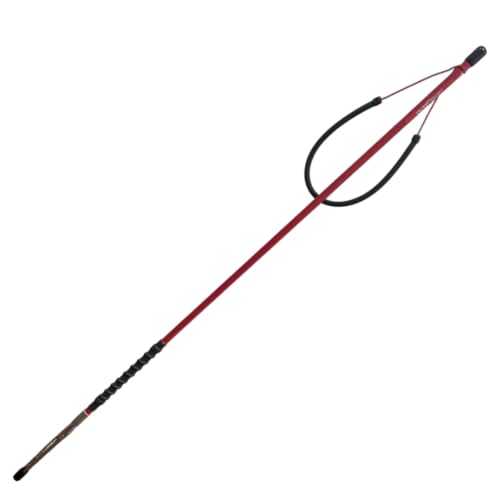 ZooKeeper - Sling Spear with Paralyzer Tip (Red) with Extra Band (30