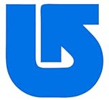 Compatible with Burton Sticker - Custom Size and Colors - Snowboard Boardsports Winter Gear Decal (Arctic Blue, 5.5 Wide x 5.5 Tall Inches)