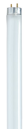 Satco S8418 48-Inch 3000K 32-Watt Medium Bi Pin T8 Instant/Rapid Start Lamp, Warm White